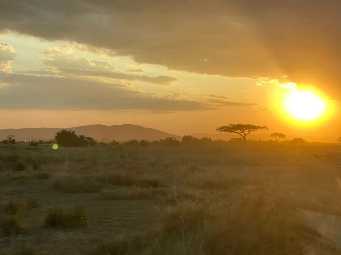 Sunset over the savanna.